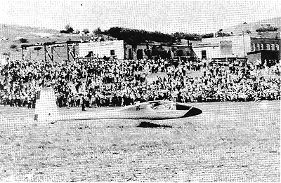 Планер Янтарь-Стандарт на воздушном параде праздника 60-летия планеризма на НИПБ ЦАГИ в Крыму, 1983 г.